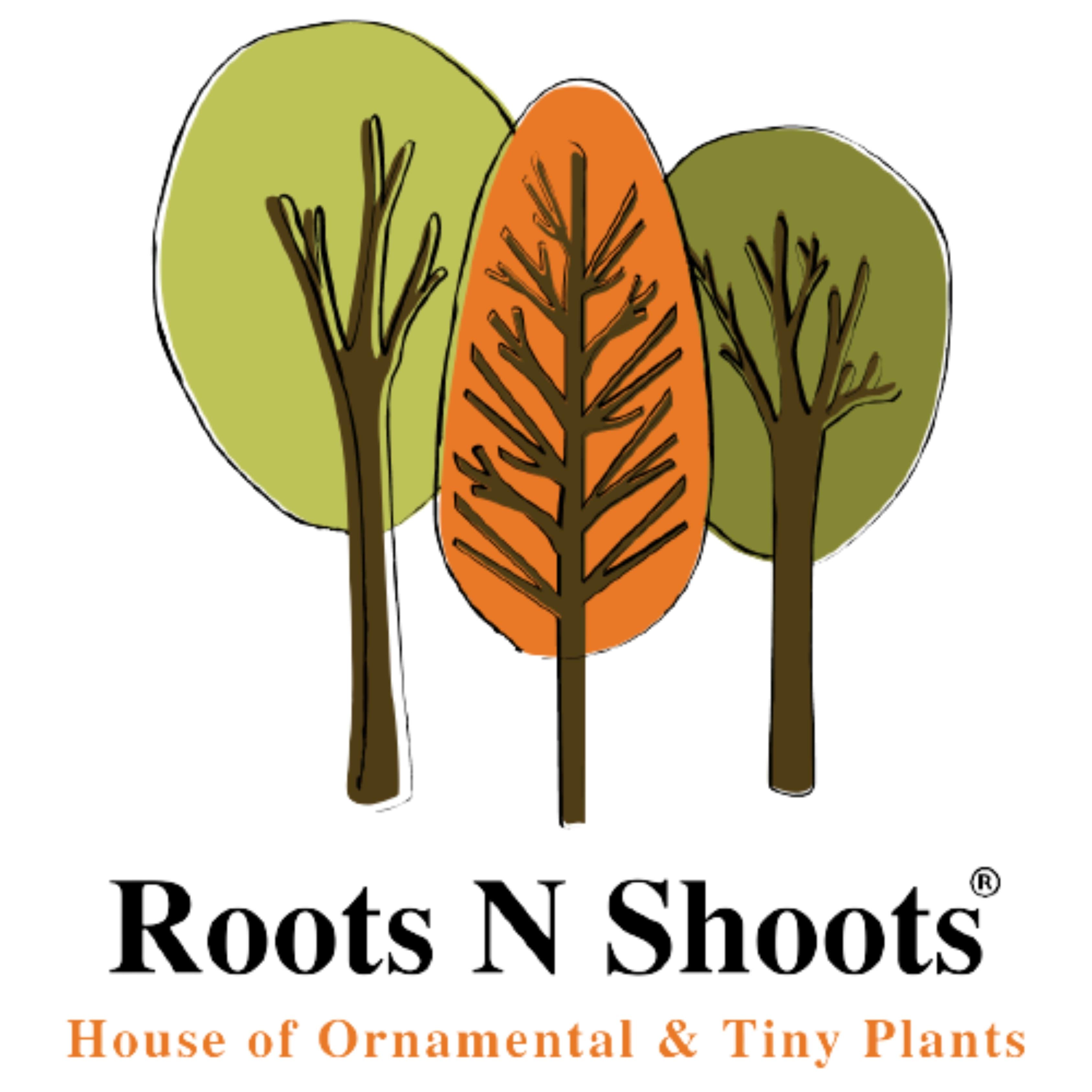 Roots N Shoots